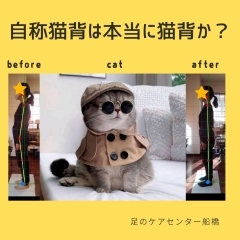 自称猫背は本当に猫背か【外反母趾.足育をはじめとした足の悩みの整体院　西船橋１分】