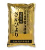 さがびより5㎏「お米のはなし🍚」