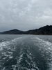 本日の笹川流れ「笹川流れ遊覧船本日運航中です🛳️😆👍」