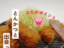 とんかつはぶたが命です🐽