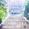 鳥取の聖地大山で縁切りメタトロンを受けてみませんか「【鳥取の聖地大山で縁切りメタトロンを受けてみませんか？】気功師が行うメタトロン測定　鳥取・米子・大山・境港・松江・出雲　鳥取氣功院」