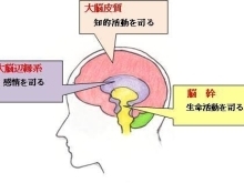 脳疲労とは