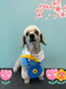 「Dog salon mofu mofu 余市町」