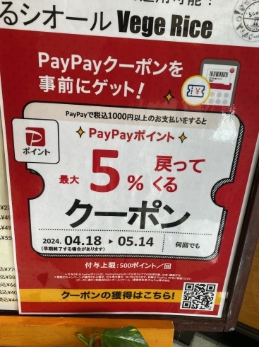「4/18(木)～5/14(火）　PayPayクーポン配布【べじらいす限定】」