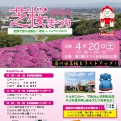葛城市市制20周年イベント「芝桜まつり」が開催されます！