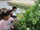 幼稚園生活が始まりました☆