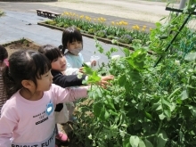 幼稚園生活が始まりました☆