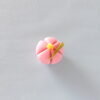 「上生菓子　練り切り　菓銘「撫子」」