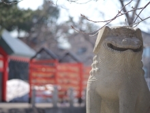 2024花手水のお知らせ✉️