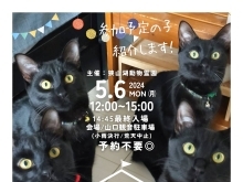 ✿5/6㈪ 譲渡会(所沢市)参加保護猫情報！③✿ 雑種猫/MIX猫/保護猫/狭山湖動物霊園