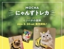 MOCHAにゃんずトレカ販売開始❗️【宮崎ナナイロ(メガドンキ)にある猫カフェ・漫画・ドリンクバー・ワークプレイス】