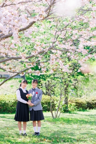 八重桜と新緑の中で♪「八重桜が満開です！【江戸川区でこども・ファミリーの出張撮影をしています】」