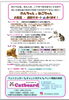 4/20より実施させて頂きます😌「札幌ペットシッター料金変更しました。【⠀札幌 北区 catbeard キャットビヤード】」