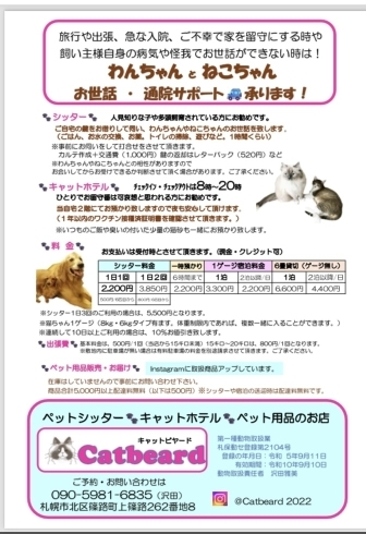 4/20より実施させて頂きます😌「札幌ペットシッター料金変更しました。【⠀札幌 北区 catbeard キャットビヤード】」