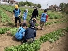 4/20 本日の農園 【お手軽に自然体験するならベジキングの観光農園 K's Garden Lab.】