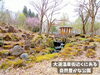 「大湯温泉街近くにある公園。バーベキューもできてドッグランあり、山野草の宝庫、大湯公園。」