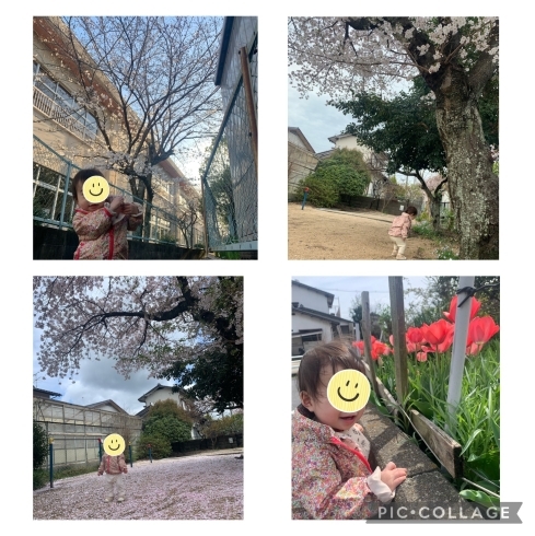 天気の良い日は毎日お散歩🎶「４月の様子♪、保育園、認可外、少人数制、岡山市東区、生後2ヶ月からお預かり可能、おうちほいく、0・1・2歳児、月極、一時保育」