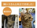 【無事再会！】新居浜市東雲町で迷子になった猫のソラくん。飼い主さんと再会できました！