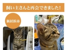 【無事再会！】新居浜市東雲町で迷子になった猫のソラくん。飼い主さんと再会できました！