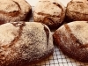毎日のお食事にも！🥖「『パン・ペイザン』のご紹介🥖 ＆　4/29(祝)営業致します!!」