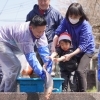 今年もやります！金山大堰鯉の放流🐟️