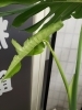 毎日ちょっとずつ成長してます。がんばれ！「背骨がゆがむ理由」