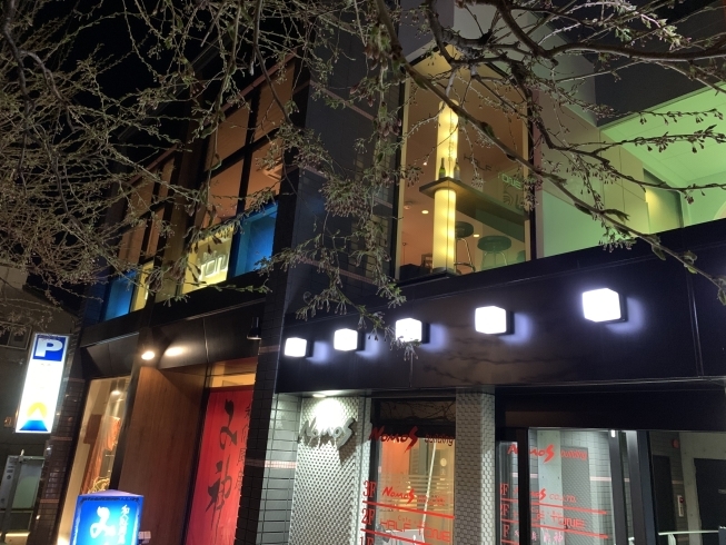 「小樽花銀通りの桜🌸の街路樹、寒さで開花が遅れましたがゴールデンウィークが見頃になります🌸　  小樽のカクテル&ショットバー・ハーフトーン」
