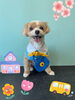 「Dog salon mofu mofu 余市町」