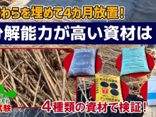 【野菜の残渣を分解せよ!】畑にワラを伏せ込み!イチ早く土に変わる資材は何になるのか? たねのハシモトミヤ