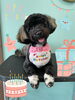 「Dog salon mofu mofu 余市町」