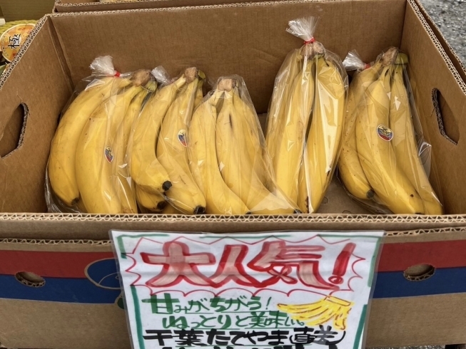 バナナ専門店のバナナ♪「バナナ♪」