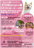 「わんこと楽しい一日を！『犬日和2024春』5月3日（金）開催！【新発田】」
