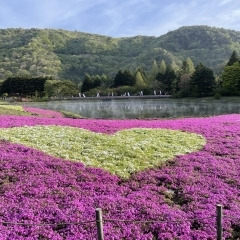 5月の営業予定のご案内