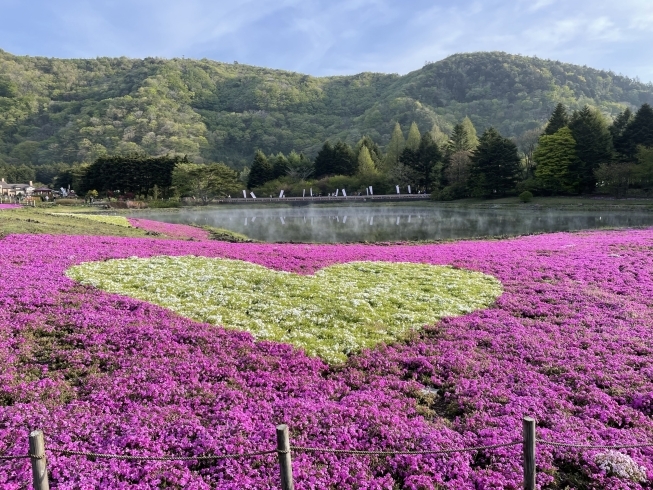 「5月の営業予定のご案内」