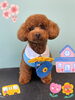 「Dog salon mofu mofu 余市町」