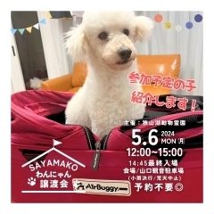 ✿5/6㈪ 譲渡会(所沢市)参加保護犬猫情報！⑥✿ ミニチュアプードル/トイプードル/狭山湖動物霊園