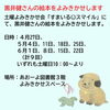 「黒井健さんの絵本の展示・よみきかせについて」