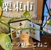 ギャラーこねこ「【ギャラリーこねこ】　栗東市内」