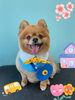 「Dog salon mofu mofu 余市町」