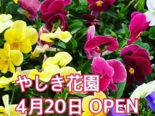 やしき花園　4月20日OPEN！