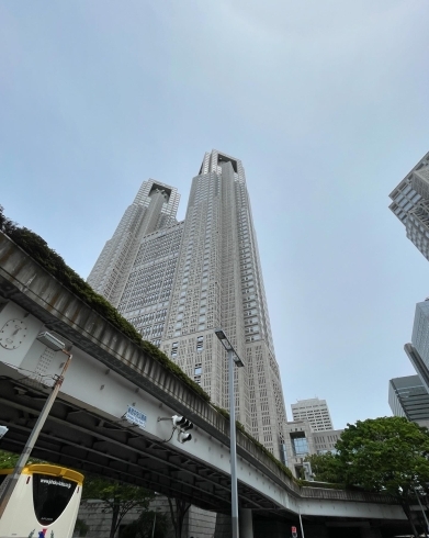 次回は都知事とお話ししたいです🧑‍🌾「☆カラフル野菜の小山農園、東京都庁へ☆」