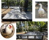 水鳥ふれあいコーナー「水鳥ふれあいコーナーリニューアル！」