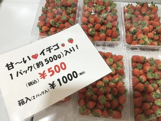 「魚魚市場おすすめ商品は「長崎県産いちご」です♪」