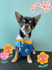 「Dog salon mofu mofu 余市町」