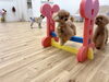 リリアちゃんジャンプ💨「ましゅまろ幼稚園🐾パート２」