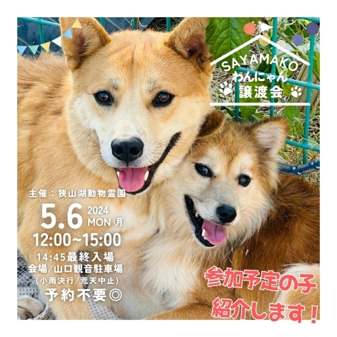 「✿5/6㈪ 譲渡会(所沢市)参加保護犬猫情報！⑦✿ 雑種犬/MIX犬/ミックス犬」