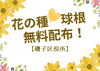 「6/21（金）～花の種・球根の無料配布！【磯子区役所】」