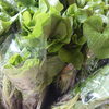 「GWはじまりました～旬野菜・お土産・特産品の【山の店】（秋川渓谷から車で5分）～」