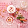 スイーツ＆ランチブッフェ「ついに明日から開催！期間限定「スイーツ＆ランチブッフェ」」