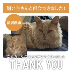 【無事再会！】新居浜市大生院で迷子になった猫のりんくん。飼い主さんと再会できました！